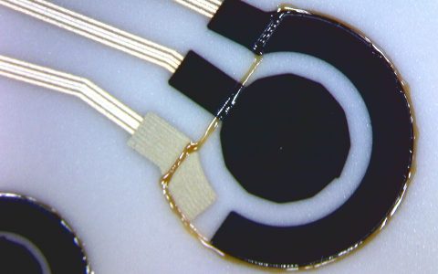 electrochemical sensor